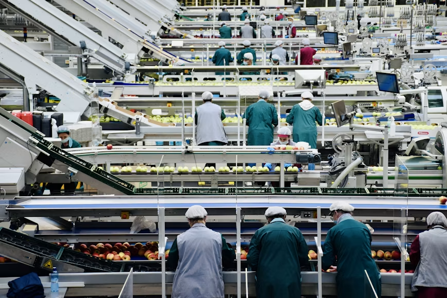 Careers in Food Production and Processing